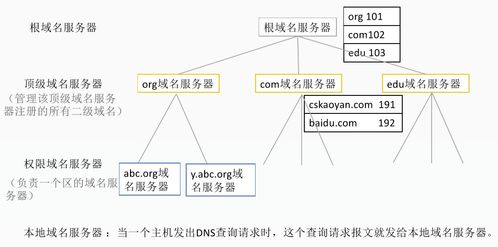 DNS域名解析系統(tǒng)在計算機網(wǎng)絡(luò)設(shè)計中的角色與實現(xiàn)